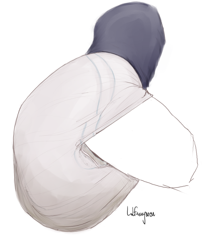 thelolfunnyman's tweet photo. study + testing brushes https://t.co/txvCy6RVma