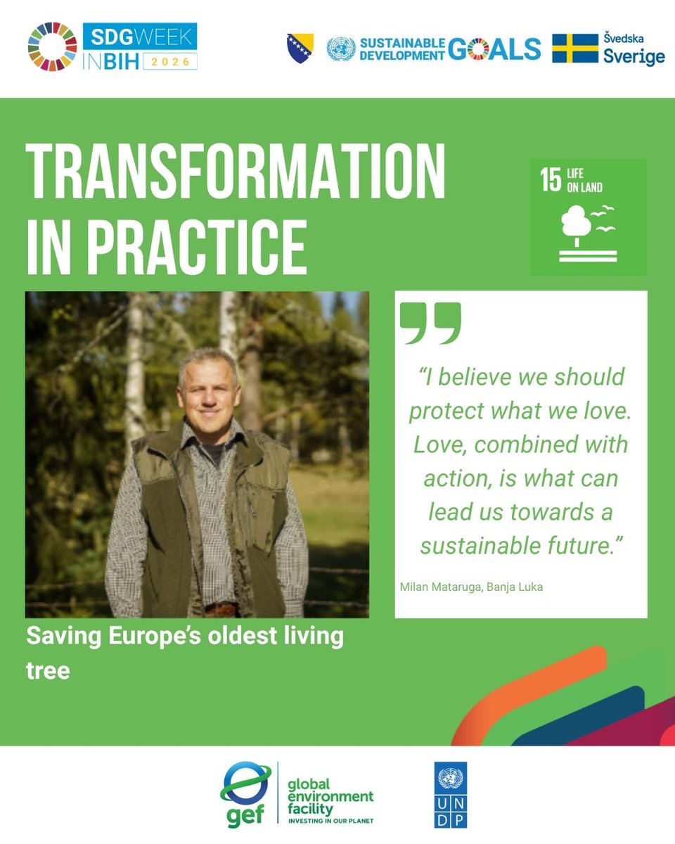 UNDPBiH's tweet photo. With @theGEF funding, UNDP supports research, seed collection and three conservation plantations to protect the endangered Serbian spruce.
#TransformationInPractice #SDG15
#SDGWeekinBiH: 19–23 Oct 2026, supported by @SwedenBiH . https://t.co/X99WTCCjGz