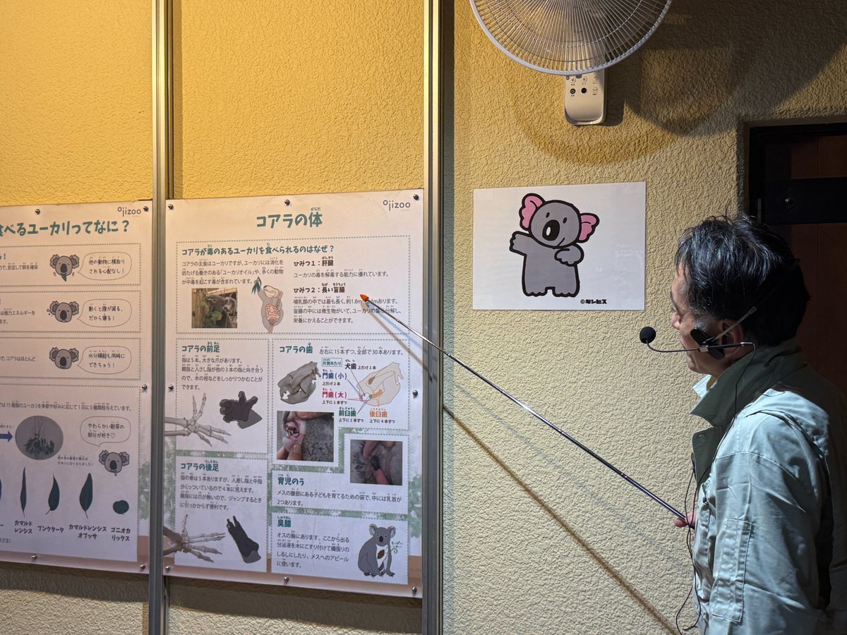 kobeojizoo's tweet photo. 10月4日の「 #世界どうぶつの日 」のイベントに参加いただきありがとうございました🦛
あいにくの天候でしたが、動物の「形」についてのガイドや、株式会社ギンビスの特設ブースをお楽しみいただきました🐨
イベントをきっかけに、世界どうぶつ（動物）の日について興味をもってもらえればと思います🦜 https://t.co/yrUXlZ0aeD