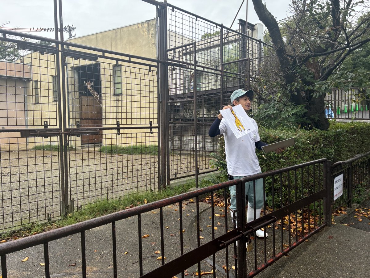 kobeojizoo's tweet photo. 10月4日の「 #世界どうぶつの日 」のイベントに参加いただきありがとうございました🦛
あいにくの天候でしたが、動物の「形」についてのガイドや、株式会社ギンビスの特設ブースをお楽しみいただきました🐨
イベントをきっかけに、世界どうぶつ（動物）の日について興味をもってもらえればと思います🦜 https://t.co/yrUXlZ0aeD