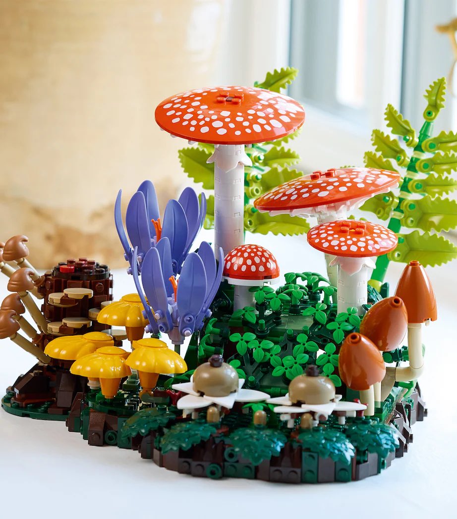 SoftnessDaily's tweet photo. lego woodland mushrooms 🎀 https://t.co/QcJj2LzwB1