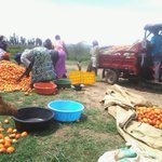 Photo by Alight Rwanda-Uganda (@AlightRwanda)