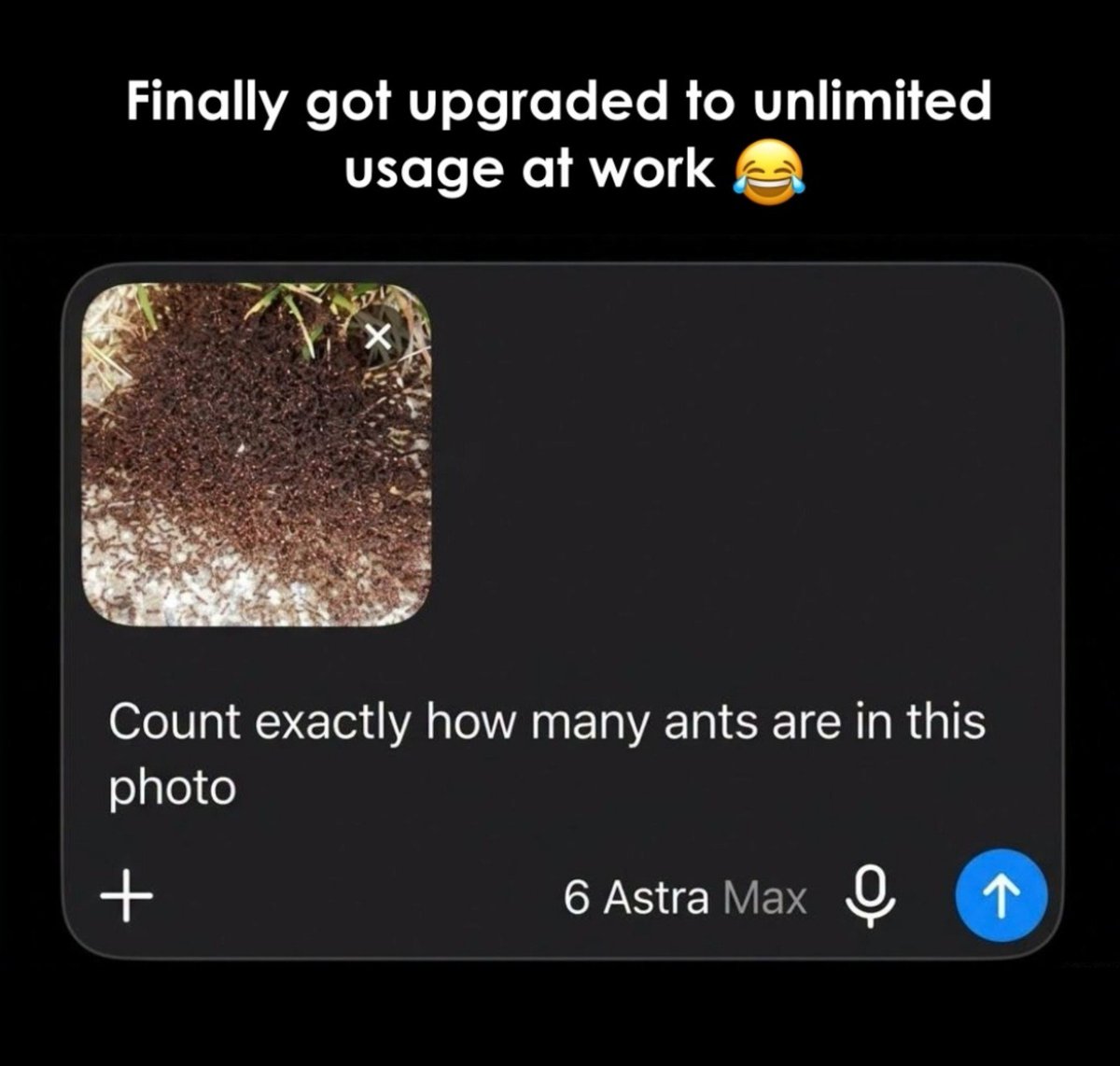 Avaniiaf's tweet photo. Finally 😂 https://t.co/zfpbC37afB