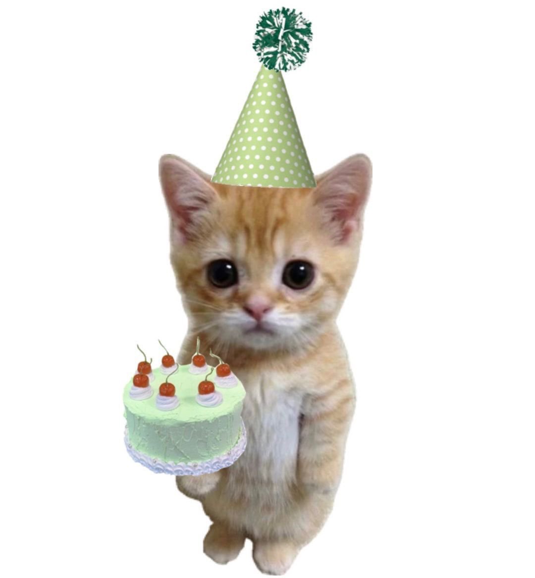 Jrgspam's tweet photo. #RT이벤트
#RT+#Follow
저 오늘 생일이에요🎉 추석 &amp; 생일 자축으로 두 분께 올리브영 기프트카드 1만원 드립니다!!💗

당발은 10월 초에 하겠습니다🫶
참저삭⭕️

(생일축하도 해주시면...💕) https://t.co/DbykS3FPpm