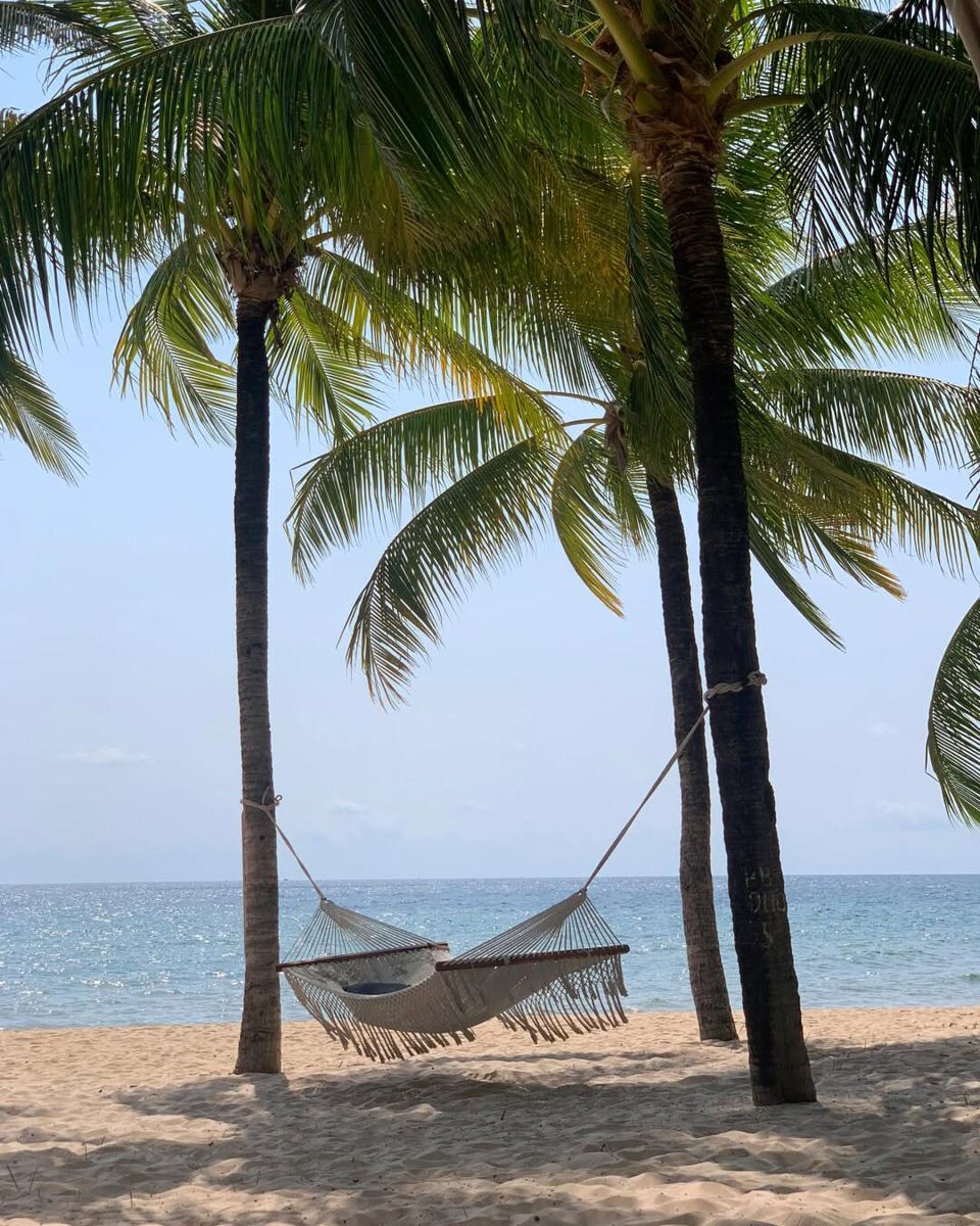 moina28's tweet photo. Sky Pool Villa, 3 Days/2 Nights for 2
USD 2, 500

Includes breakfast cruise, 60-minute spa, daily buffet breakfast, lunch and dinner with curated 3-course menus. One voucher only. Valid until August 2026. Advance booking https://t.co/FDGkyc4uGN