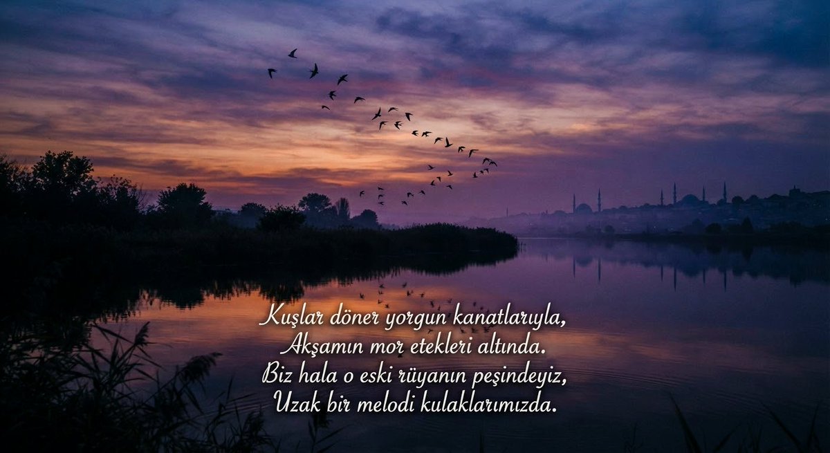 HayirliSiirler's tweet photo. #şiir #poem #kuş #melodi https://t.co/h9DevEtQpW