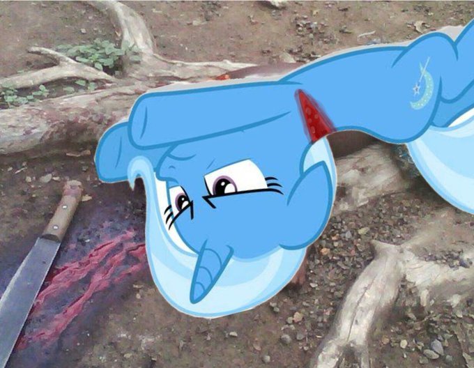 dreamsofhitler's tweet photo. what the hell is this a dead trixie baby??????? https://t.co/jS1TXJCJ7y