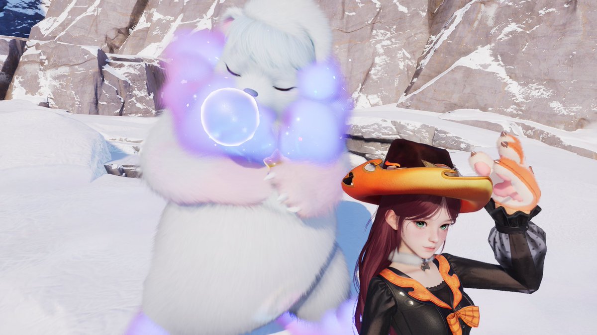 momo_y7's tweet photo. やっとヒスクマー🧸

#アニモ https://t.co/DdVeNX5FdL