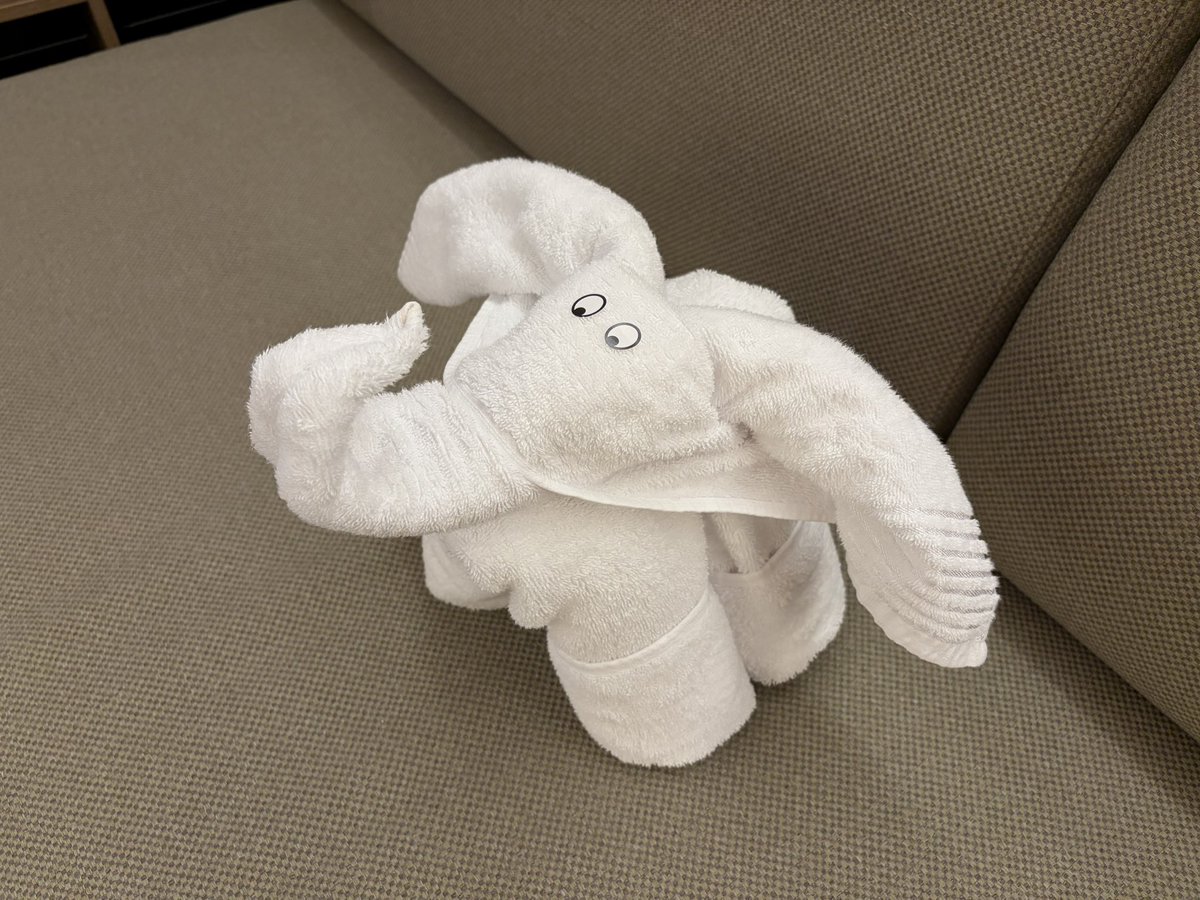 TreJake's tweet photo. Tämän päivän hyttiseuralainen 😃
#LegendOfTheSeas https://t.co/tNLY5GaVdp