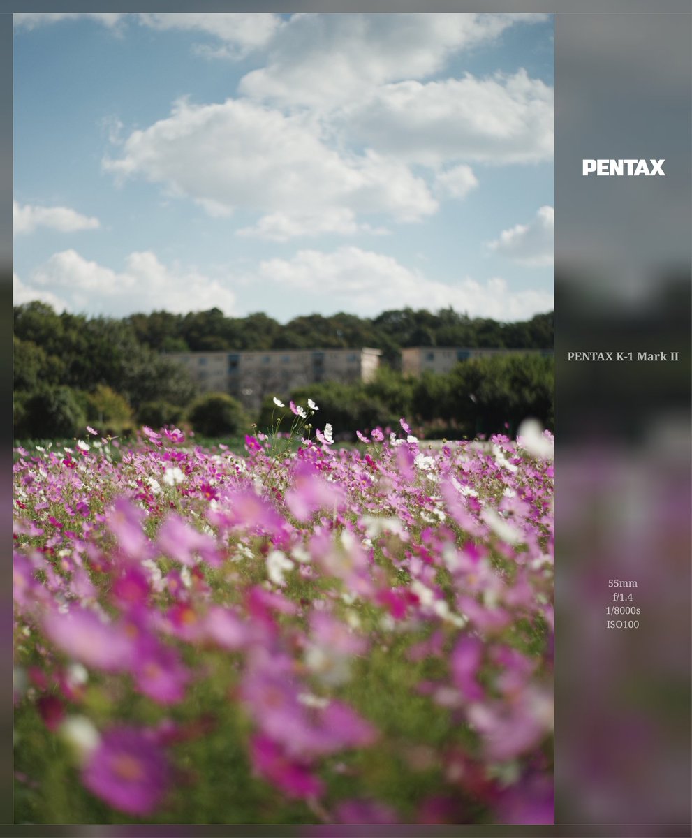 AiRu_Pentax's tweet photo. #Exigram
ダブルタップでスモークガラスになるらしいから試してみたー
ついでに切手風も、これいいねインスタのストーリーに載せやすい(^^) https://t.co/WSDI0g75QP