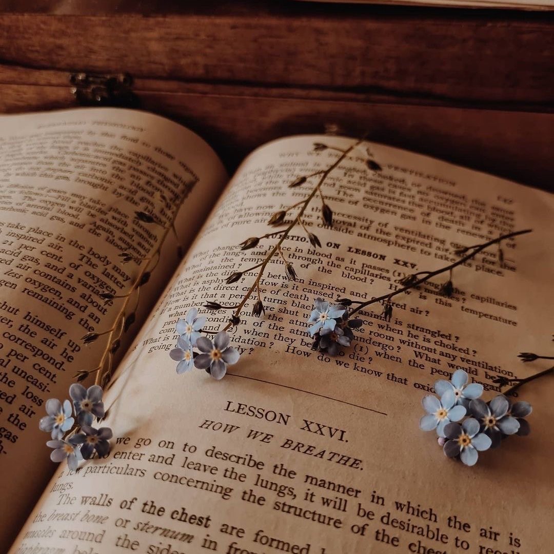 b4by_bug0's tweet photo. New pinned ᝰ.ᐟ⋆.ೃ࿔*:･

᯽ 22 mdni
᯽ ger/eng
᯽ milf
᯽ love making new friends
᯽ books, music, games, cars

𑣲 + ↻ to be moots!! ⋆˚࿔𝜗𝜚˚⋆ https://t.co/nVWs9G6cCn