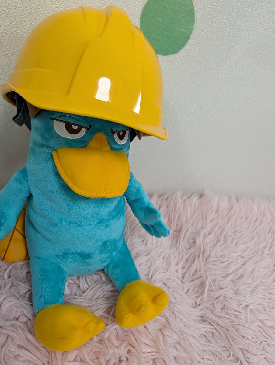 Tkdonaduck's tweet photo. カモノハシ建設？ https://t.co/L0WlZbpteb