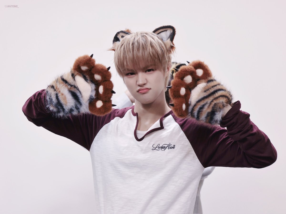 K4tt0ng_'s tweet photo. 261002 후즈팬

🐯🐾

#AHOF #아홉
#박주원 #JUWON https://t.co/8lGpLSHeYs