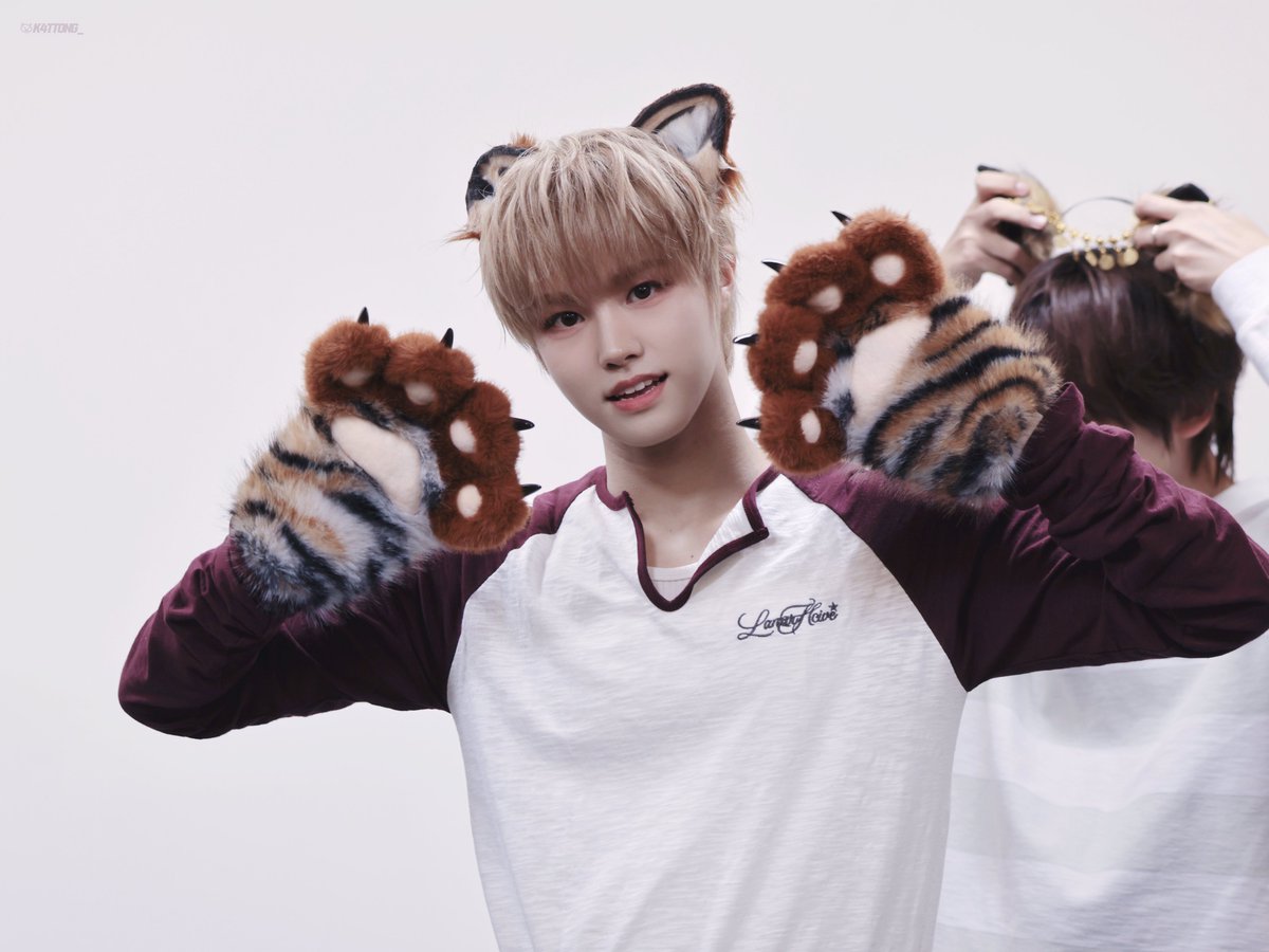 K4tt0ng_'s tweet photo. 261002 후즈팬

🐯🐾

#AHOF #아홉
#박주원 #JUWON https://t.co/8lGpLSHeYs