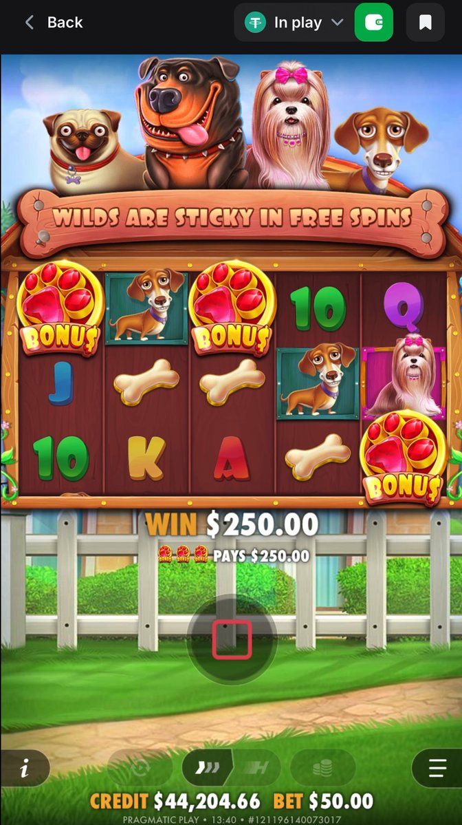 A mobile slot game called 'The Dog House' by Pragmatic Play showing a $250.00 win, featuring cartoon dogs, paw print bonus symbols, and a credit balance of $44,204.66.