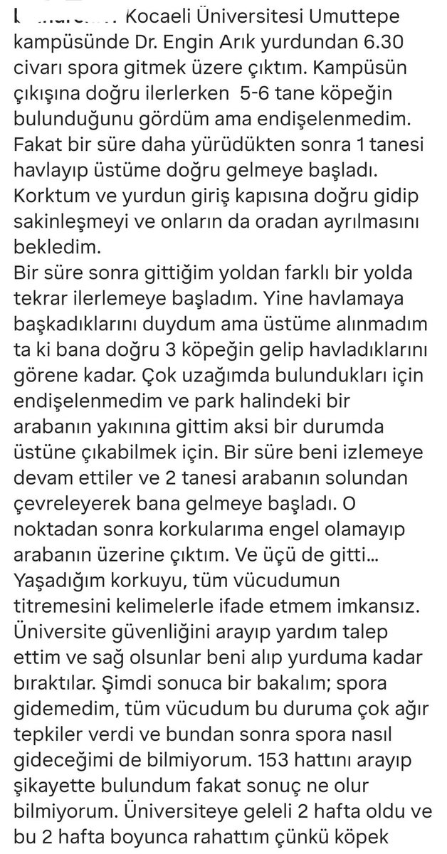 GusoderX's tweet photo. Kocaeli Umuttepe Kampüsü'nde sabah yurttan çıkıp spora giden öğrenci kampüste, iddiasina göre başıboş köpek saldırısına uğrayıp, park halinde bulunan aracın üzerine çıktı. 

Öğrencilerin sağlıklı ve güvenli bir ortamda eğitim ve öğretim görmelerini sağlamak için tüm tedbirler alınmalıdır.

@kou92official @kocaelivaliligi @TC_icisleri