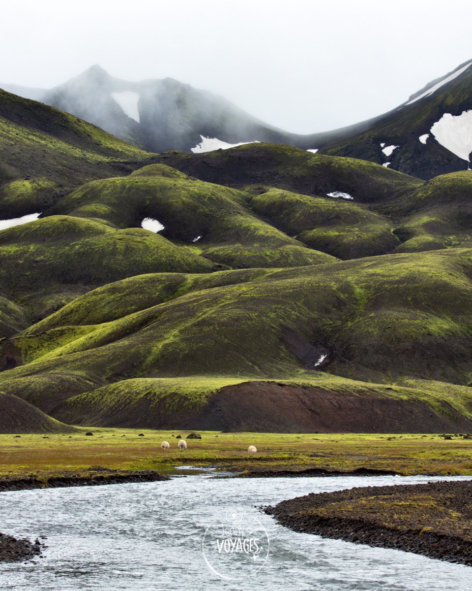 floorpincha's tweet photo. L’Islande, un coup de cœur venu d’un autre monde. Volcans, glaciers, geysers et cascades façonnent cette île unique. Entre aurores boréales et soleil de minuit, chaque saison révèle un nouveau visage. Vous rêvez d’y aller? https://t.co/SN4j2tO9su