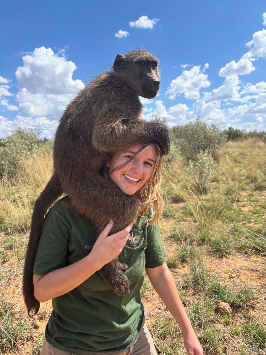 edsonpassos200's tweet photo. Walking with rescued baboons at the Na’ankusê wildlife sanctuary. https://t.co/O1WUWoYacd