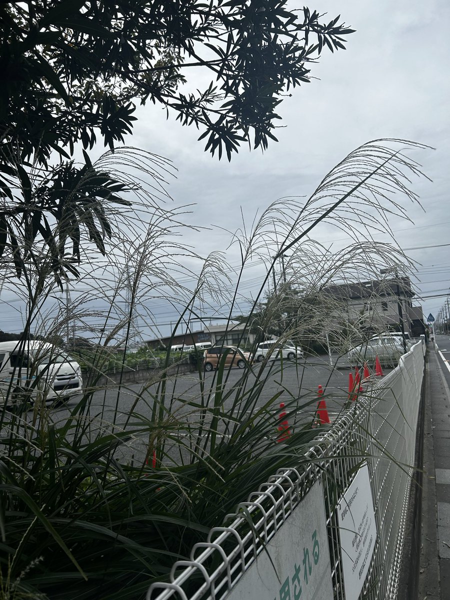 Kiyomiux's tweet photo. つかれている自分
ちょっと失敗してしまった自分も
受け止めて
しかたないこともあるし
今は安心したいんだなって、気持ちを
認めてあげたら楽になりました☺️ https://t.co/V0qQKJcpd6