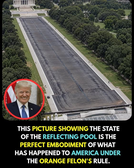 LSI_John's tweet photo. Here is trump's gift to America.....chaos, destruction, empty, no longer functional, money wasted, lack of any plan, stupidity, vanity, drained of any redeeming value.  This is our fault.  We voted for this....twice. We are stupid and uninformed.  We don't care enough. https://t.co/rinqEu8Lc2