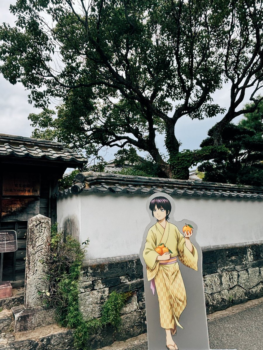 engwmeshi's tweet photo. 居る編 https://t.co/UzGofRMOSr