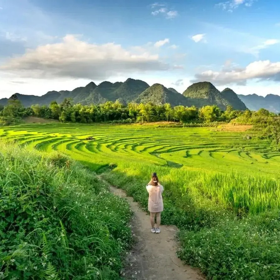 joe_cepeda's tweet photo. Explore Vietnam’s top ecotourism destinations: Pu Luong, Cuc Phuong, Phong Nha–Ke Bang, Trang An, Cat Ba Island, Can Gio, and Ba Be Lake. https://t.co/uZNEfeNMA1