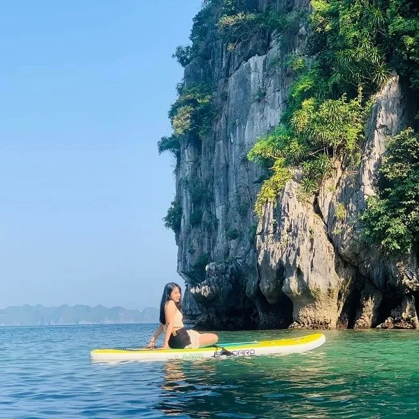 joe_cepeda's tweet photo. Explore Vietnam’s top ecotourism destinations: Pu Luong, Cuc Phuong, Phong Nha–Ke Bang, Trang An, Cat Ba Island, Can Gio, and Ba Be Lake. https://t.co/uZNEfeNMA1