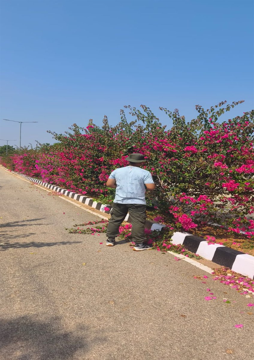 CiatCtr85137's tweet photo. A Cleanliess drive was conducted under #SpecialCampaign6 At CIATS,KLKR,Kalikiri,Annamayya(A.P) on 05/10/2026
#SpecialCampaign6 #SwachhataHiSeva2026 https://t.co/0guVVimQUZ