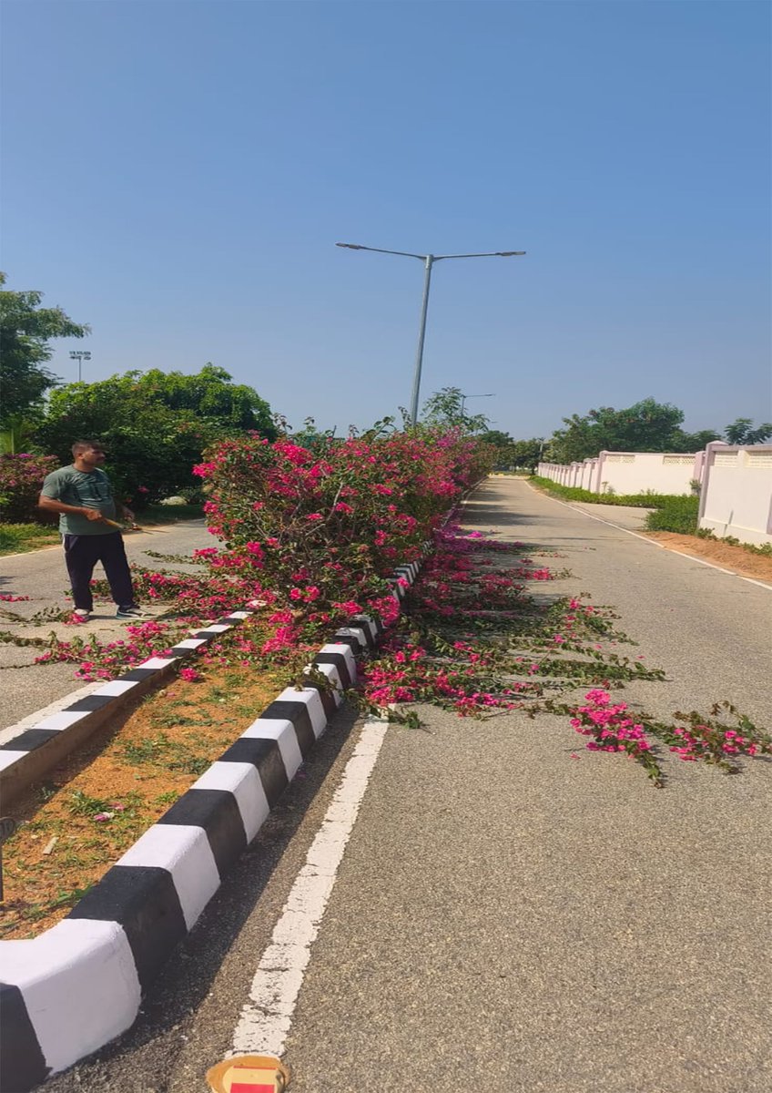 CiatCtr85137's tweet photo. A Cleanliess drive was conducted under #SpecialCampaign6 At CIATS,KLKR,Kalikiri,Annamayya(A.P) on 05/10/2026
#SpecialCampaign6 #SwachhataHiSeva2026 https://t.co/0guVVimQUZ