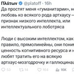 Photo by сиреневаяцветь (@althosaund)