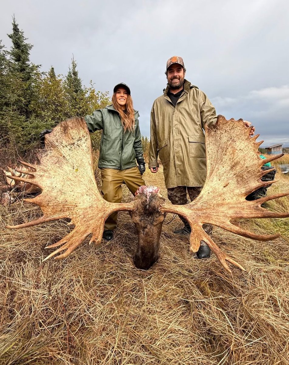 SPORTSMANchnl's tweet photo. "Over ten years!! That's how long I've dreamed about this moment." - @megan_stortz_art

#ITSINOURBLOOD #outdoors #hunting #moose #bullmoose https://t.co/FWhwcgHvqE