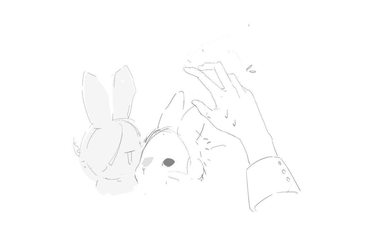 oo155_50's tweet photo. 토끼 https://t.co/hMOnhAnaHo
