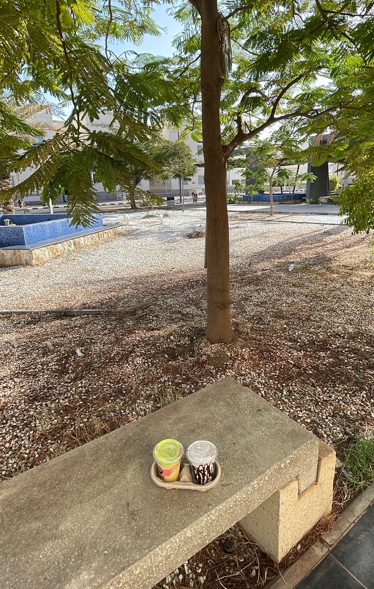 engmeowi's tweet photo. 🌳☀️🍃 https://t.co/oQcYHDnWOM
