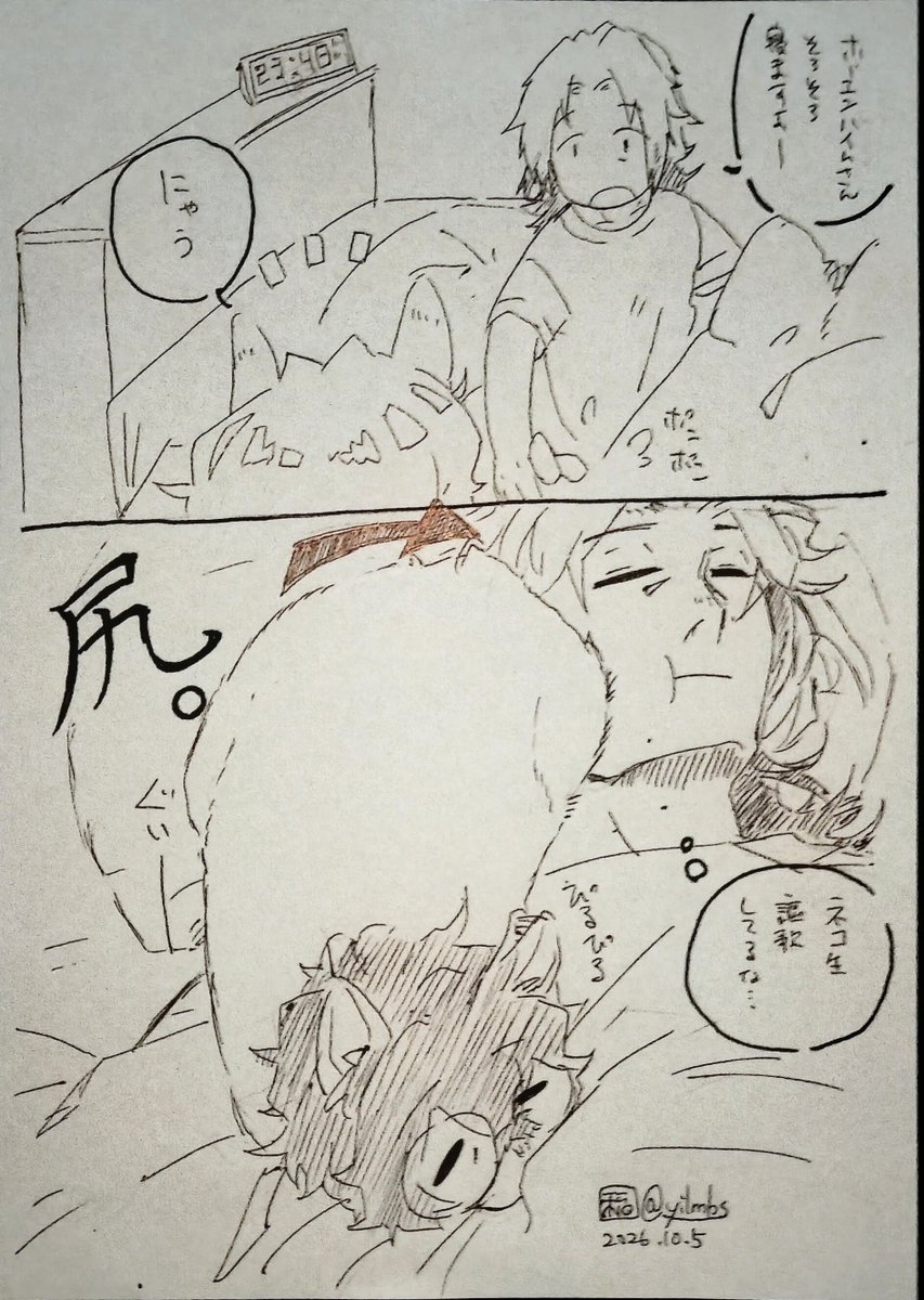 yilmbs's tweet photo. 今日のらくがき
ねこのしりは信頼の証 https://t.co/7MAacjoM72