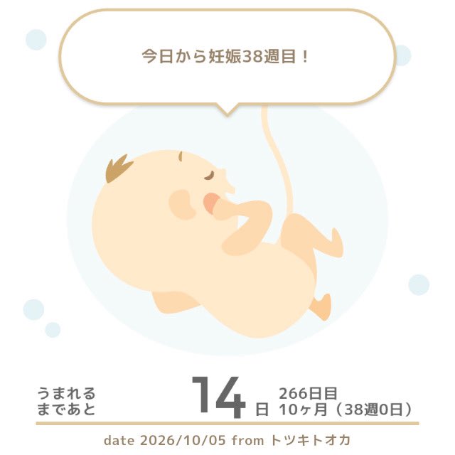Haru_body's tweet photo. あと2週間👶🏻！！

臨月入って体重一気に増えすぎて、、😇
10kgキープしようと思ったけど無理だったw

今週はバタバタするけど、明日が終われば
いつ出てきてもOKよー！！！ https://t.co/025lJpg46l
