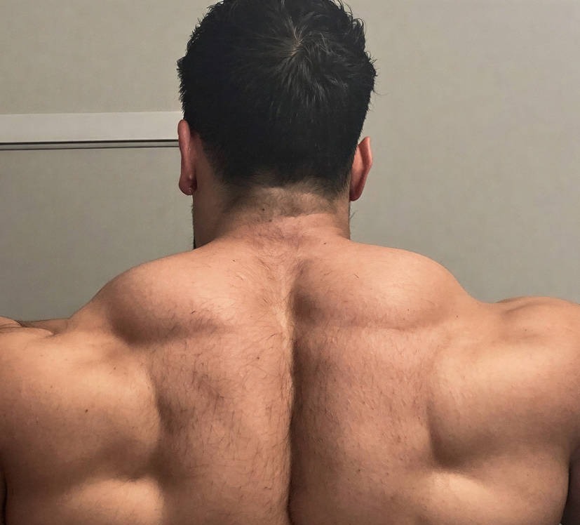 HimFlexer's tweet photo. Back day paid off.

click link for vid
https://t.co/9fhJMUpCdl

Patreon: https://t.co/uy8Ggbqqyy

#HotGuys #BigGuys #Muscle https://t.co/5PsTTfZ0LA