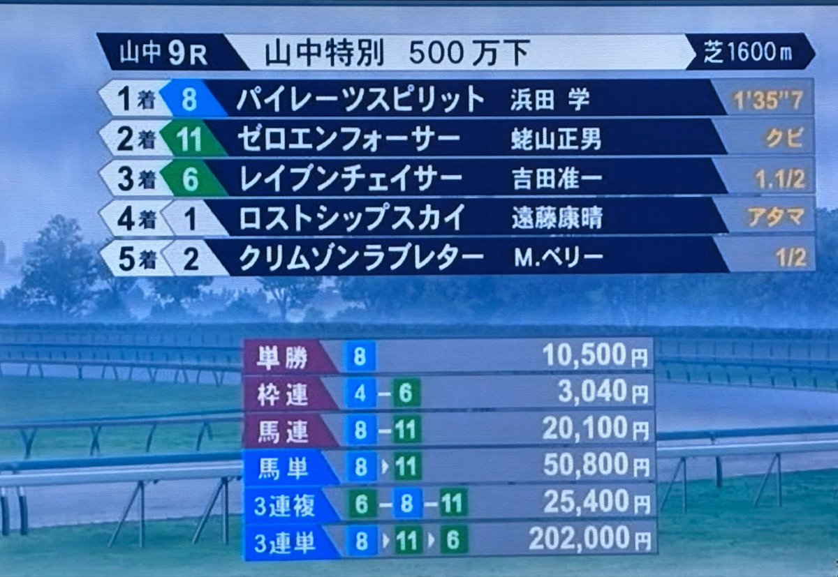 ribbon_renka's tweet photo. コナン見てたら小五郎が競馬やってたんだけどなんか見覚えのあるようなないような名前がたくさん並んでて笑ってる https://t.co/MRnBgmzJTV