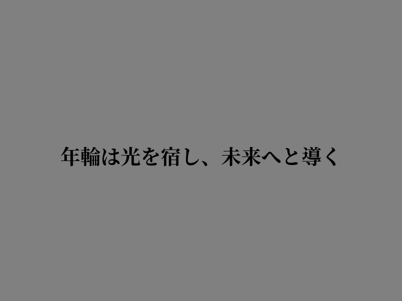 jdbabo's tweet photo. 静かな時間が流れているような気がする https://t.co/6PFCnJVdN7