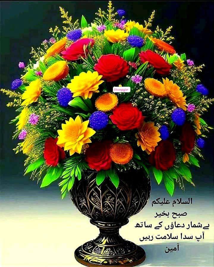 MuhammedAf35969's tweet photo. @madisanflame https://t.co/NCGvXJj7Fm