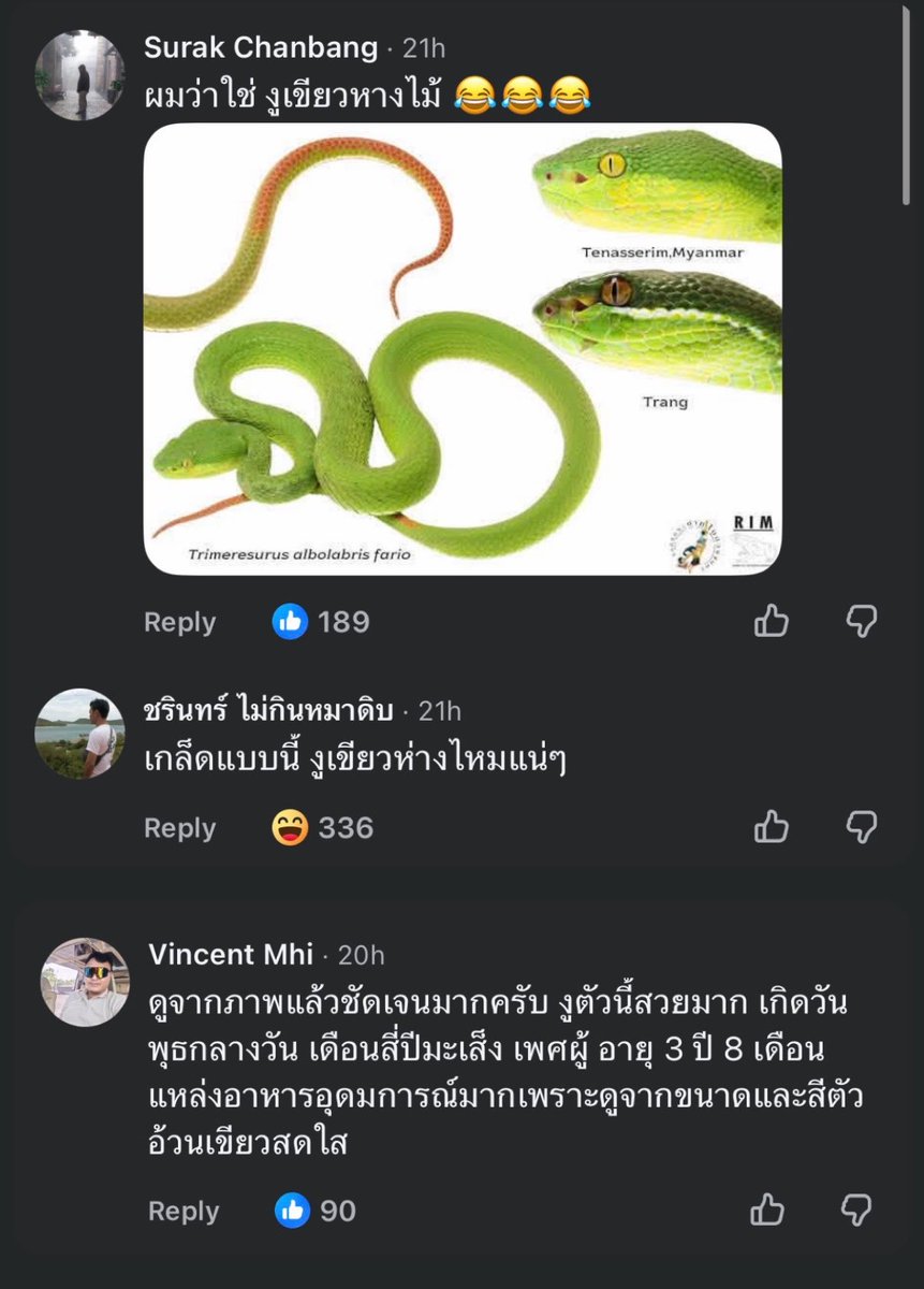krakraxt's tweet photo. ชอบอะไรแบบนี่มาก 🤣 https://t.co/53u3A8rYv1