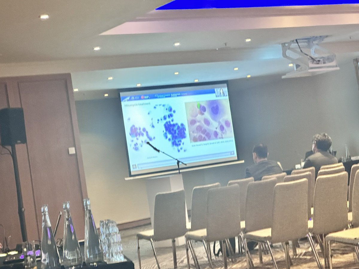 glinglerimek's tweet photo. @chriszioga @PapSociety urinary cytology  Session at #ECC2026 in Antwerp! So happy to see my old case report in the presentation. Thanks all of you @aakasharmand @DianaEstherossi @PoonamVohra3 @mdlozanoe @AzizaNassar2 @JM_CytoBox @ElmasHatice1 @binnuronal https://t.co/gv3q6Rf7bL
