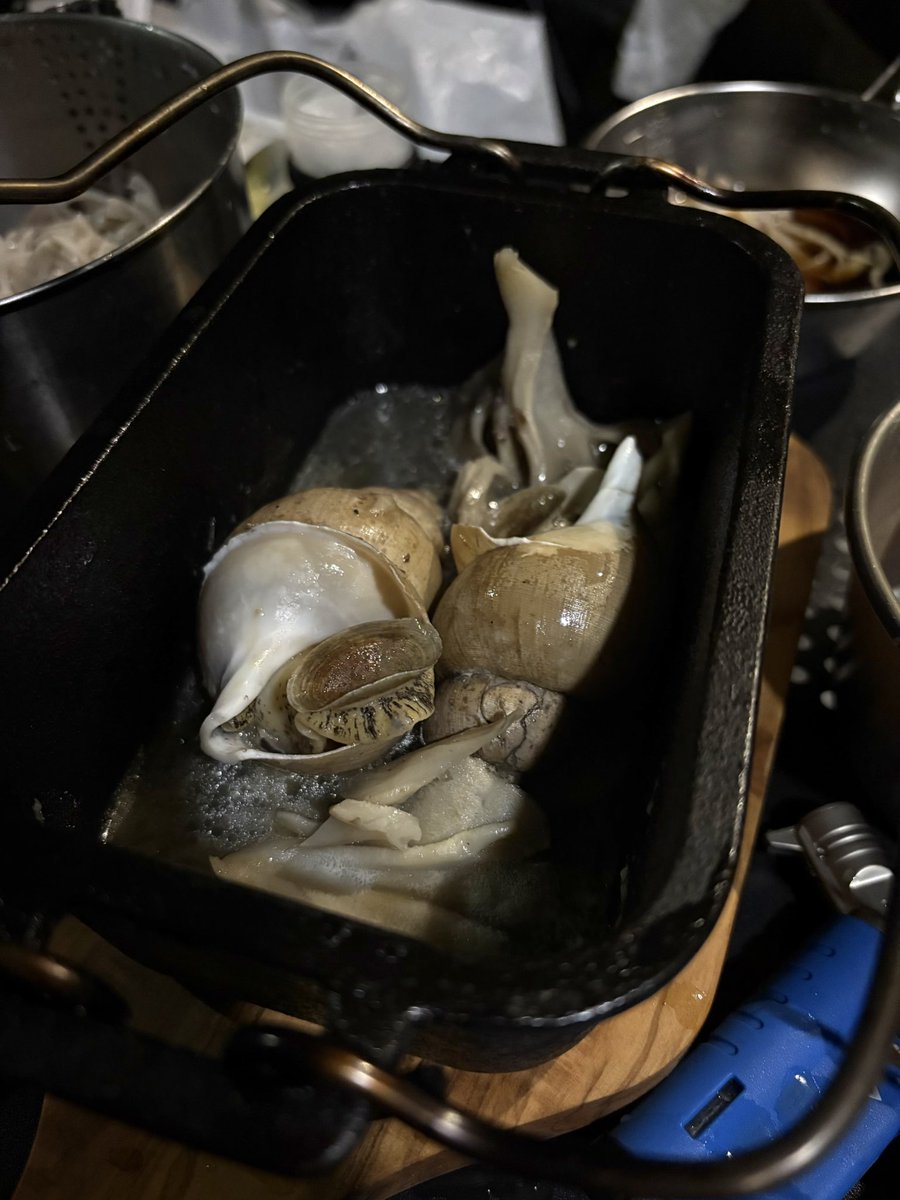 noika_camp's tweet photo. 昨日は肉だったので、今日は海の幸。

でも魚は昼に食べたので、白ばい貝をダッチオーブンで酒蒸し。

一緒に入れた舞茸が美味い。

貝の酒蒸しにキノコは良いコンビである。

なお、主食は長野を通ったから蕎麦。 https://t.co/BHKuZPkDGr