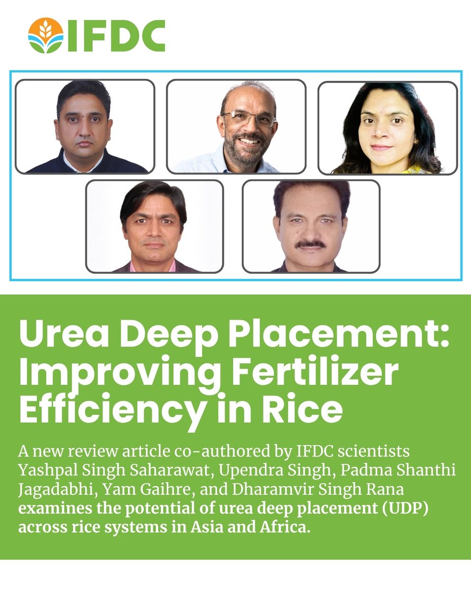 IFDCGlobal's tweet photo. 🌾 New research highlights the potential of urea deep placement (UDP) to improve rice production and fertilizer efficiency in Asia and Africa.

Read the study and learn more about the impact of UDP: https://t.co/ZXzr4WV0Hs 

#NewPaper #AgScience #UDP #Fertilizer #Study #Research https://t.co/R9iQ0etNky
