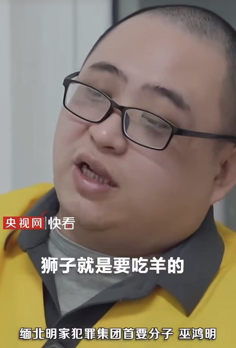 香港老雷 的图片 4