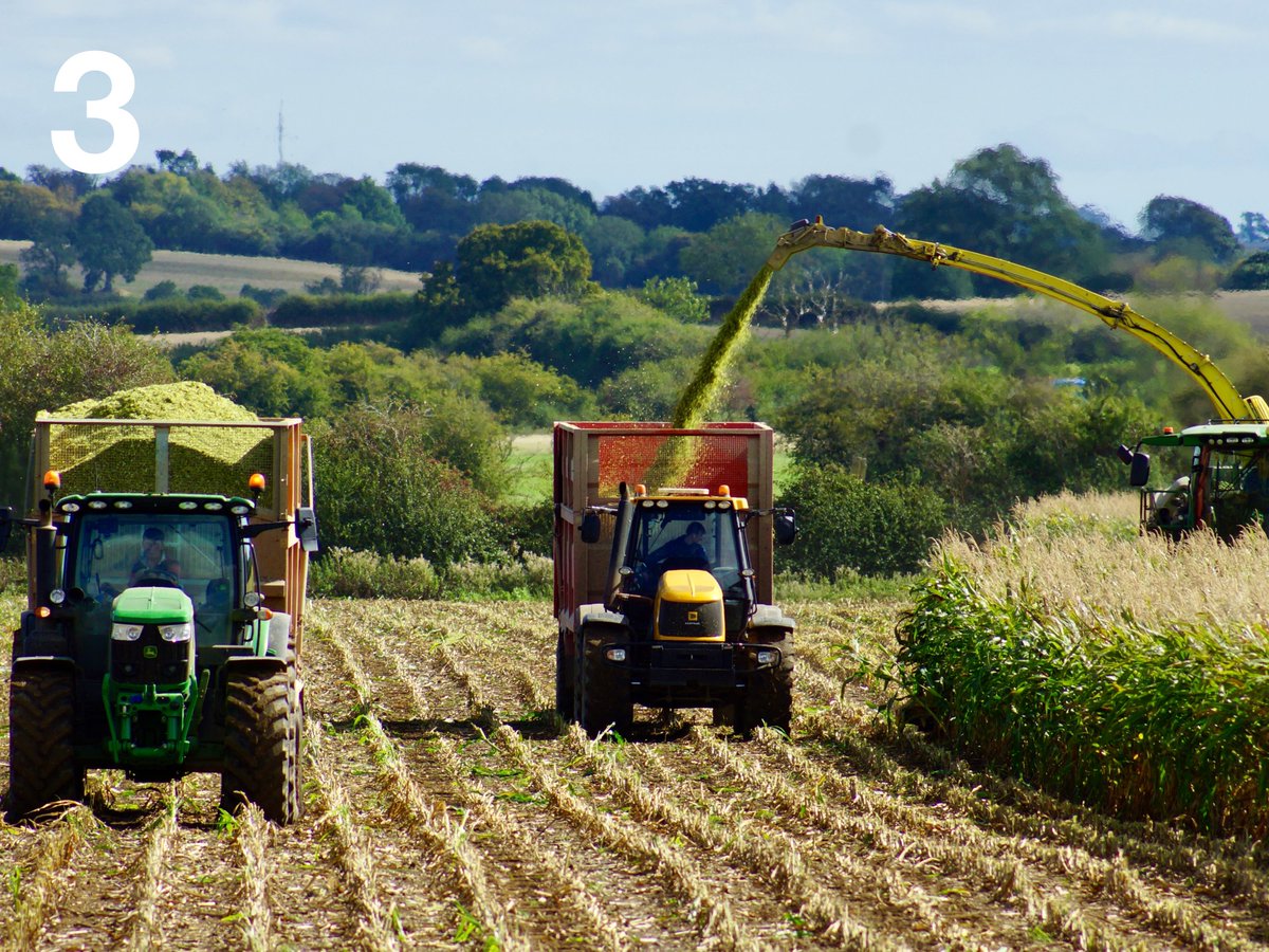 KWSUKLtd's tweet photo. 📸 Vote for your fave farming photo! 🚜 Number 5 can be found in the thread!

✅ Comment 1–5 below to vote
🗓️ Closes Fri, 9th Oct @ 5PM

PLUS: Enter October’s comp to win £50 Sugar Loaf Clothing voucher + Sony earbuds! 🎁🎧
🔗 https://t.co/2WGc4og5wg https://t.co/uNNYt7E7yu