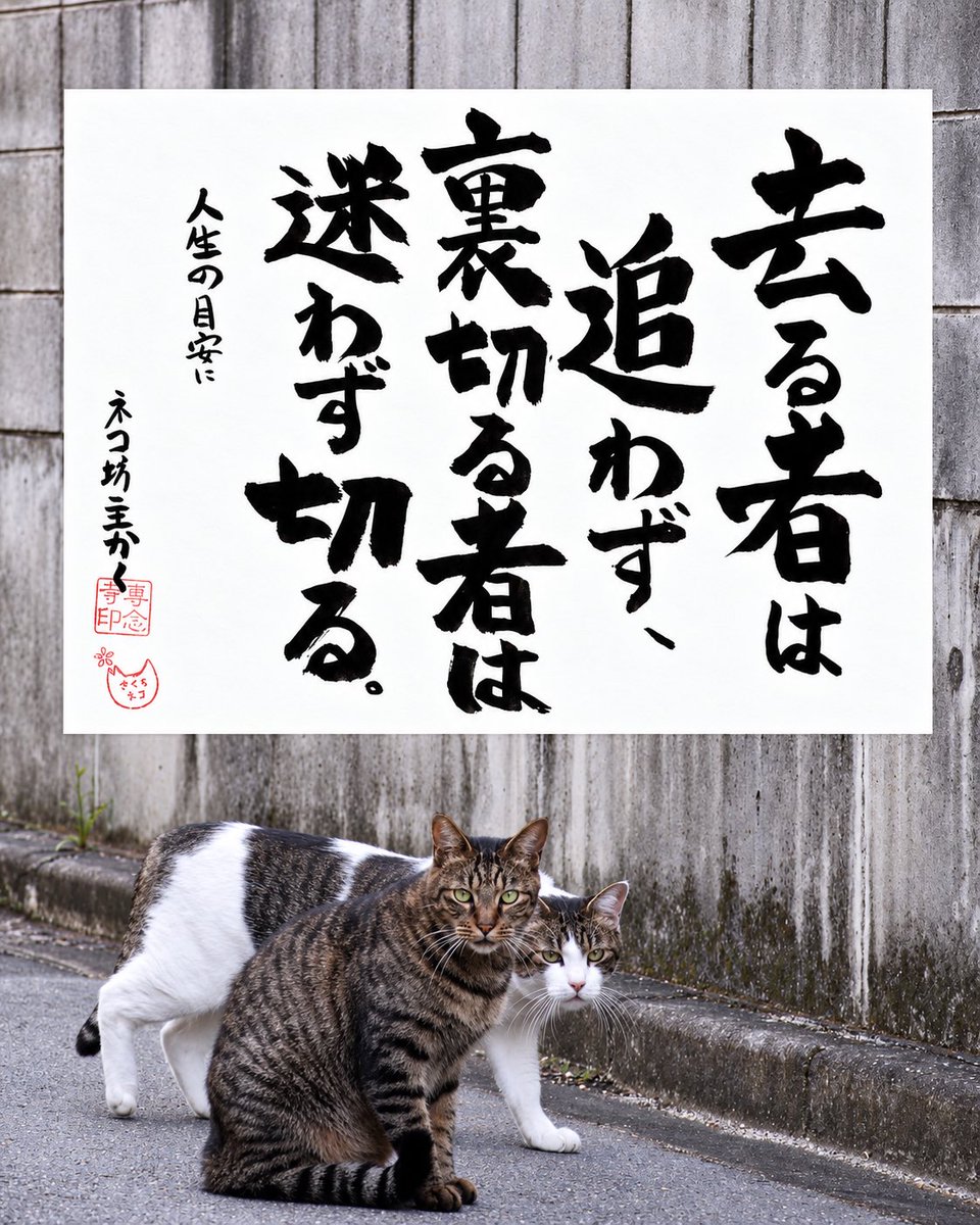 yabumoto610's tweet photo. ネコさんから人間さんへ今日の一言 https://t.co/7aXYX049se