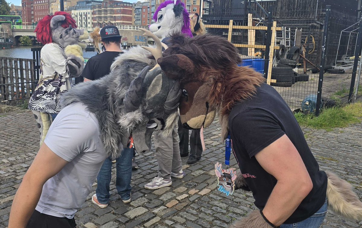 prezypaws's tweet photo. Went to Bristol Furs this Saturday, it was a lot of fun!

#furry #fursuit #furmeet #gymfur #bristol https://t.co/Mdg3KhpI1K