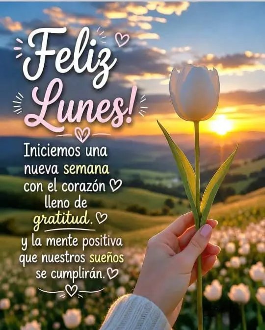 gdcdieppa's tweet photo. "Gracias a Dios logro mis metas" "Testificando Dios juntamente con ellos, con señales, prodigios" Hechos 2:4 https://t.co/tZGGNPFn7s