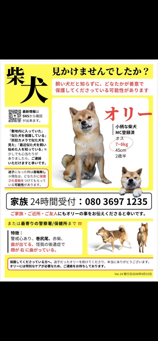 Olitheshiba's tweet photo. 下の歯が出てる柴犬を探しております
ノズル(鼻)は右寄りに曲がってます
似てる犬を見た事ありませんか？

#迷子犬 #迷い犬 #保護犬 #千葉 #大網白里 #茂原 #東金 #長生 #一宮 #九十九里 #睦沢 #市原 #山武 #農家 #迷子犬オリー #柴犬 #豆柴 #迷った犬 #保護した犬 #保護 https://t.co/rPr2iawNoT