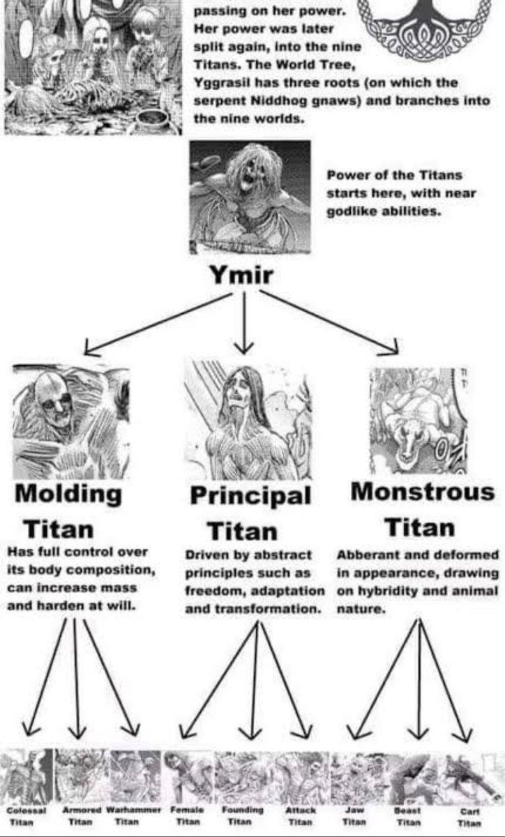 AdnaanJnr's tweet photo. Ymir’s children almost shared their Titan powers with three children each. That explains why we have nine Titans. https://t.co/6ZtsuNNAfR